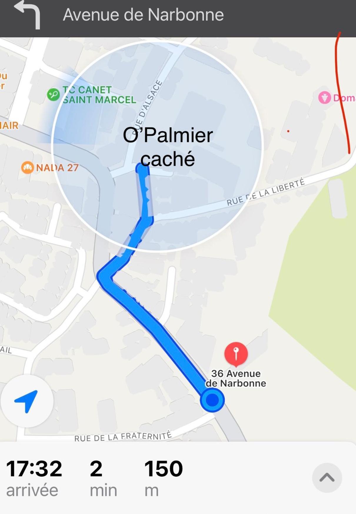 O'Palmier Cache Bed and Breakfast Saint-Marcel-sur-Aude Εξωτερικό φωτογραφία