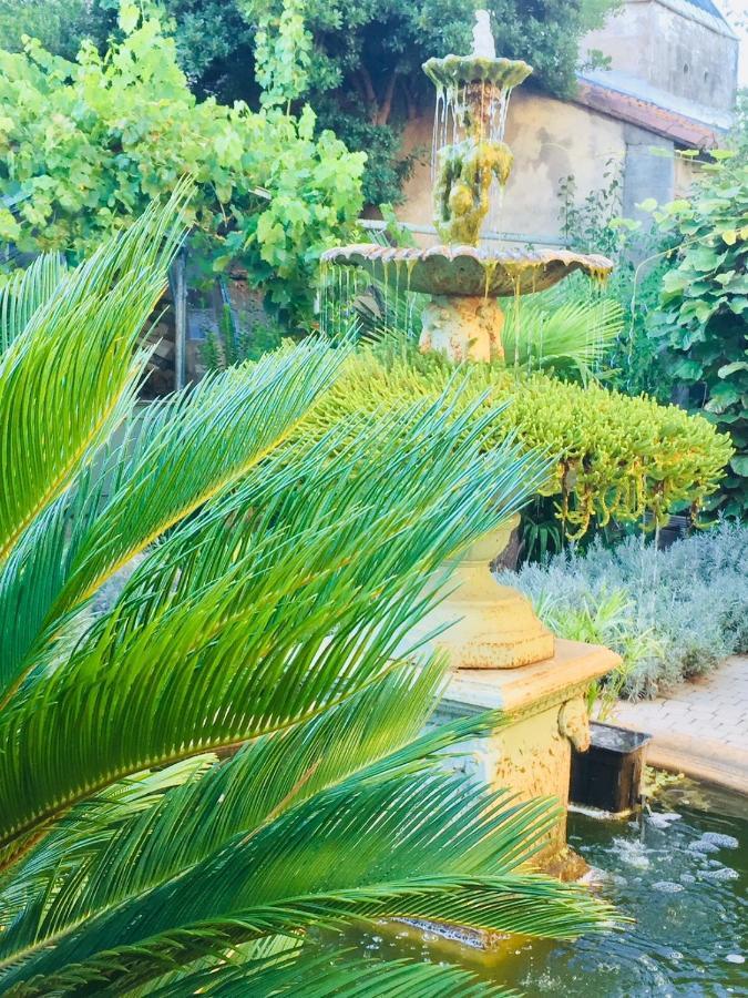 O'Palmier Cache Bed and Breakfast Saint-Marcel-sur-Aude Εξωτερικό φωτογραφία