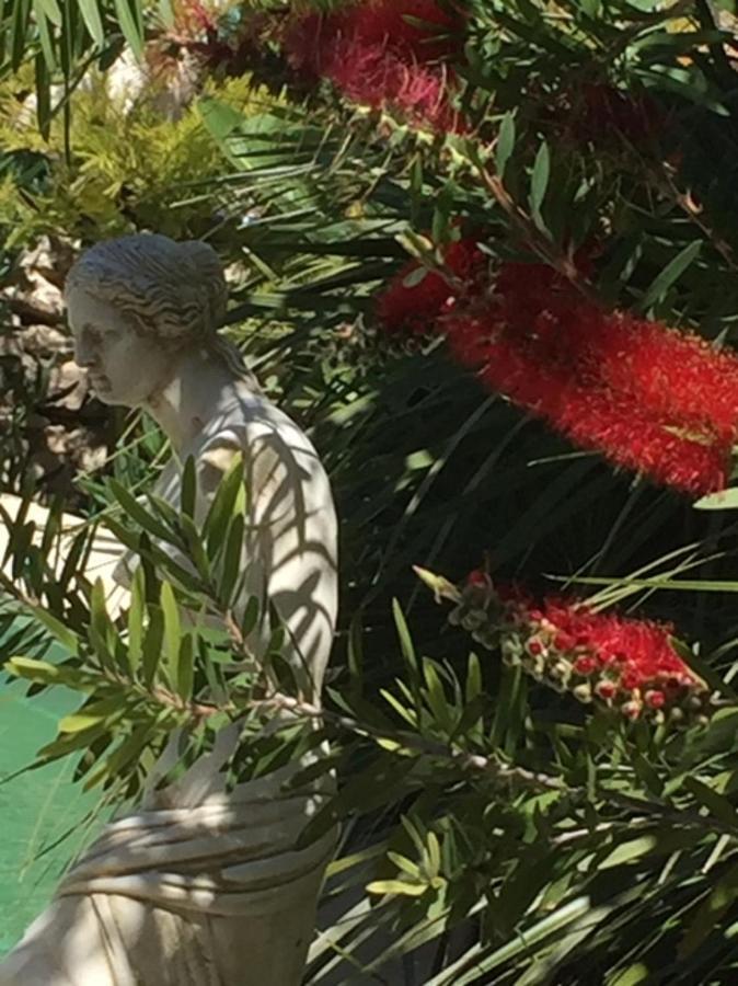 O'Palmier Cache Bed and Breakfast Saint-Marcel-sur-Aude Εξωτερικό φωτογραφία